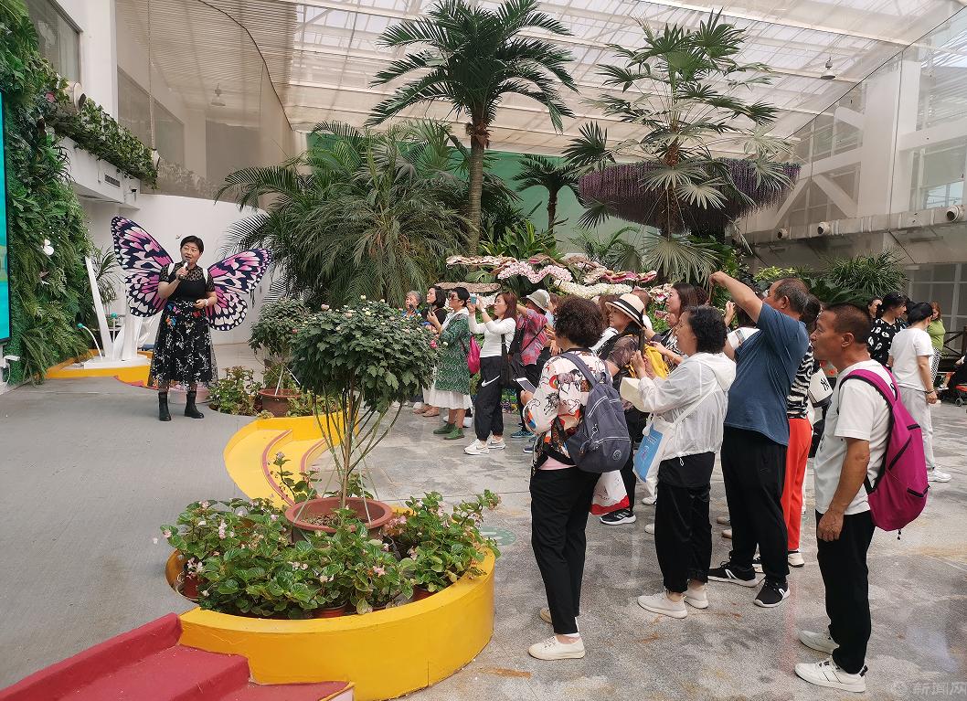 采用.png 采用.png